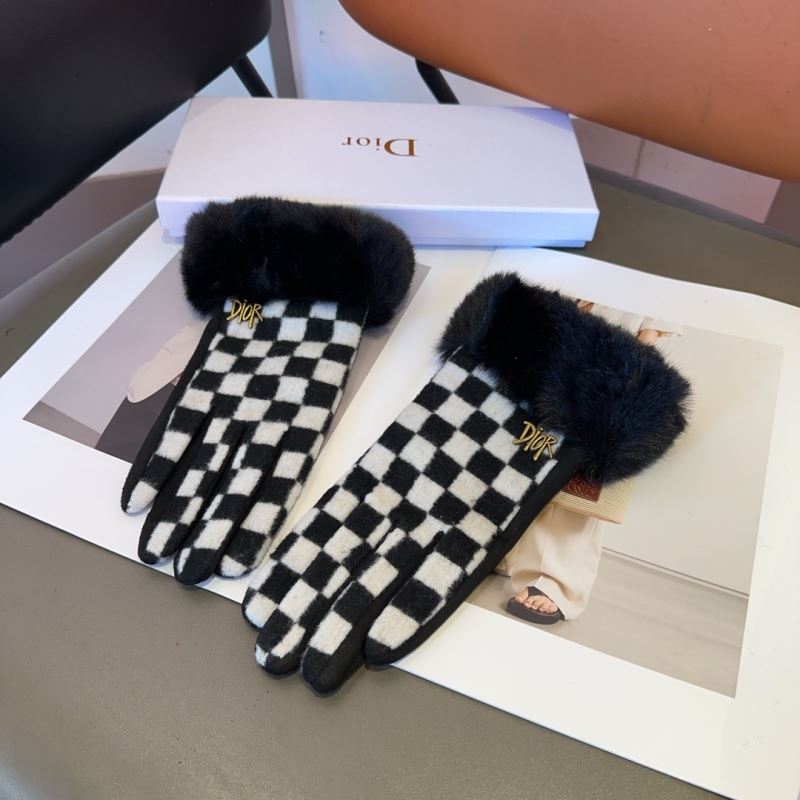 Christian Dior Gloves